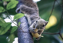 ddos压力测试平台