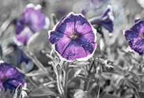 免费DDOS攻击测试工具