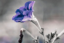 自动充值稳定的免费ddos平台攻击